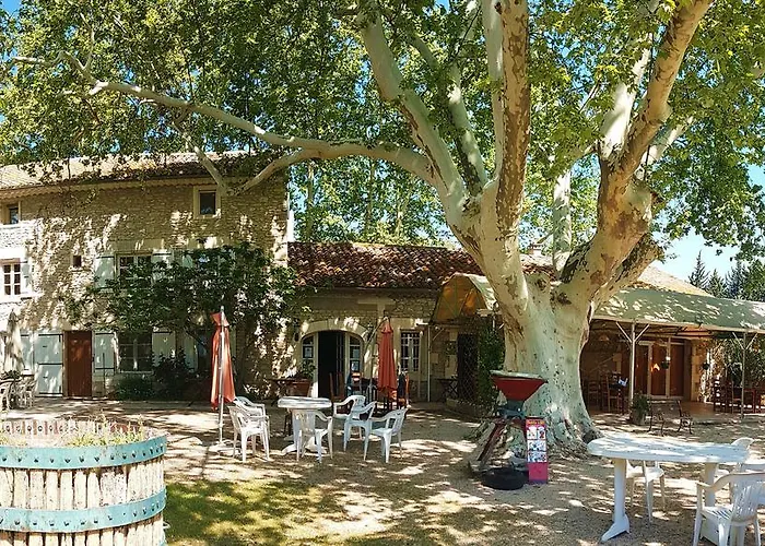 Mas Des Vertes Rives Bed & Breakfast Chateauneuf-de-Gadagne photo